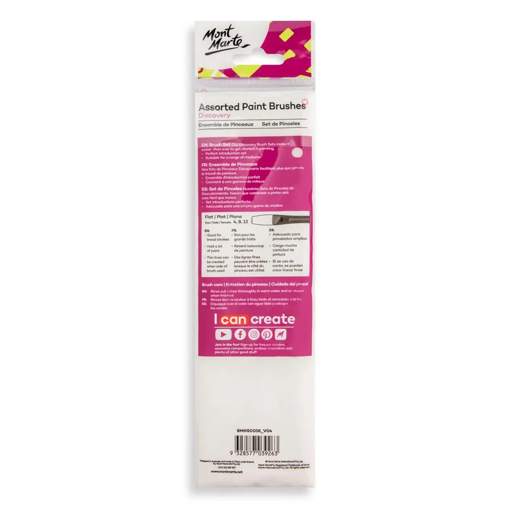 Assorted Paint Brushes Discovery 3pc