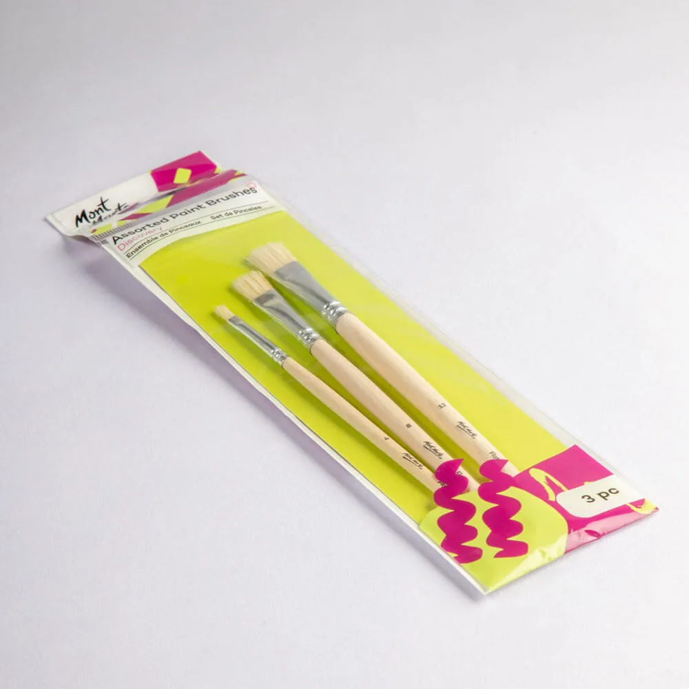 Assorted Paint Brushes Discovery 3pc