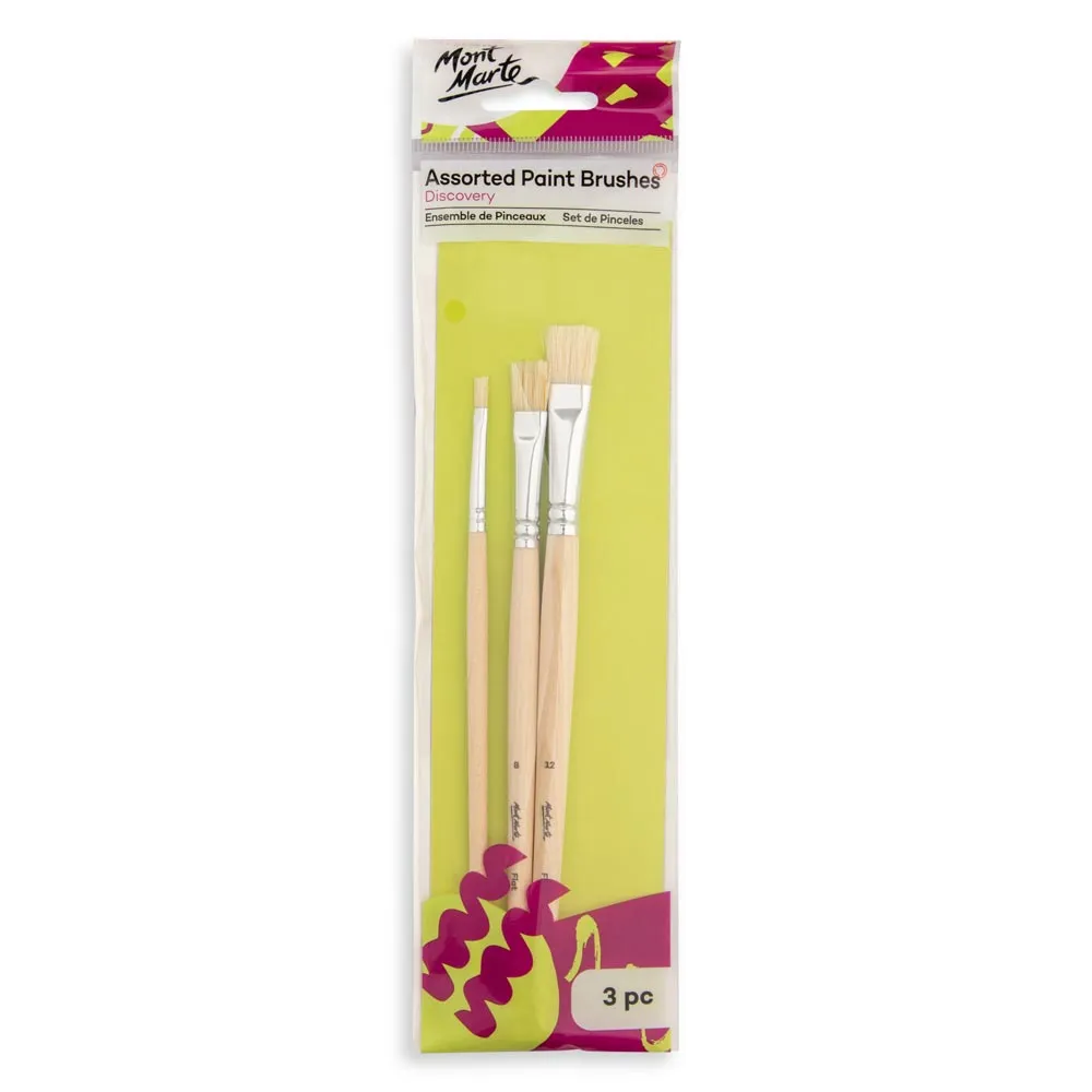 Assorted Paint Brushes Discovery 3pc