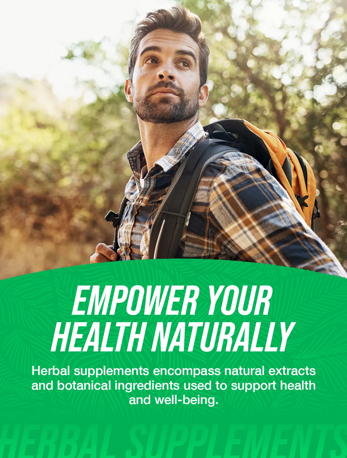 Pine Bark Extract Powder